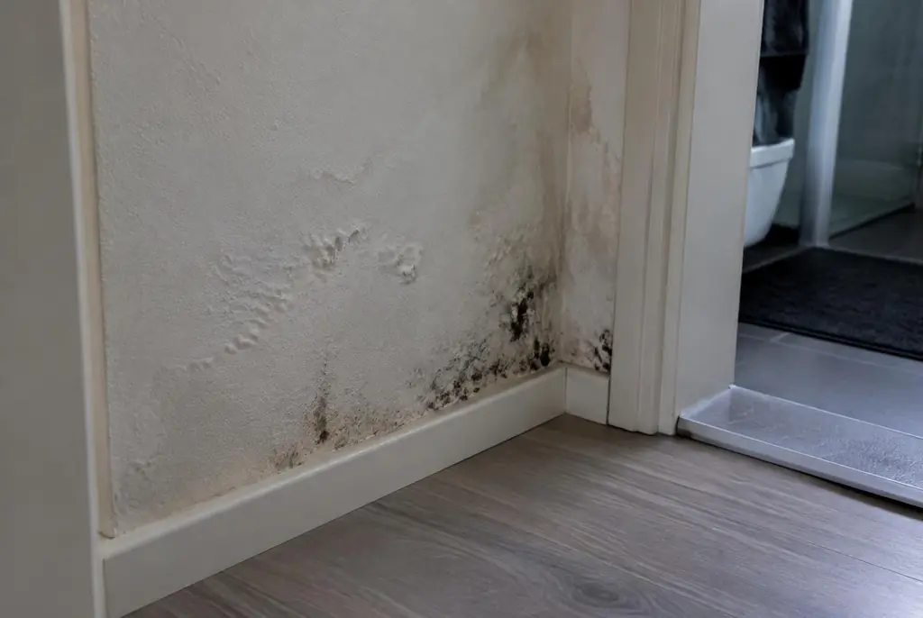 Lekdetectie Driebergen-Rijsenburg – vochtplek met schimmel op een muur